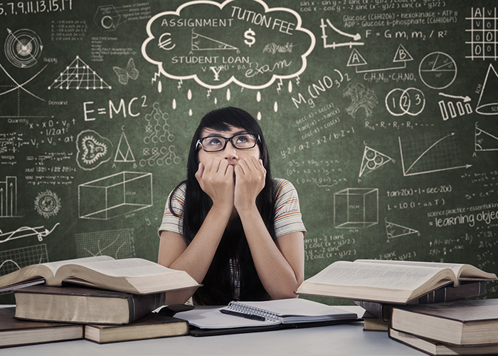 Lire la suite à propos de l’article Nouveaux programmes de l&rsquo;enseignement général en classe de seconde bac pro et de première année de CAP : premier bilan