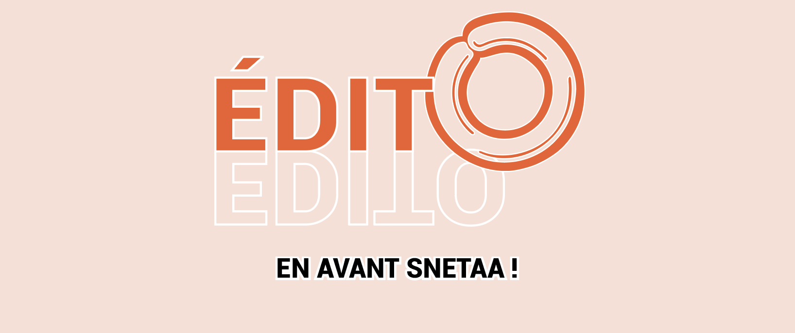 Lire la suite à propos de l’article EN AVANT SNETAA !